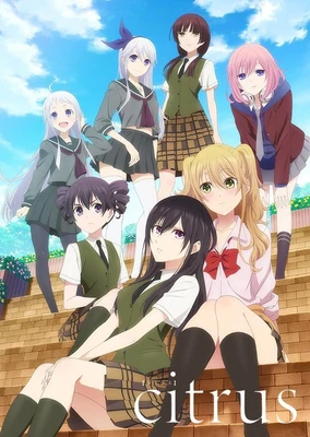 citrus~柑橘味香气~