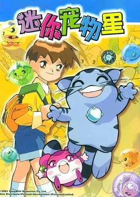 迷你宠物星