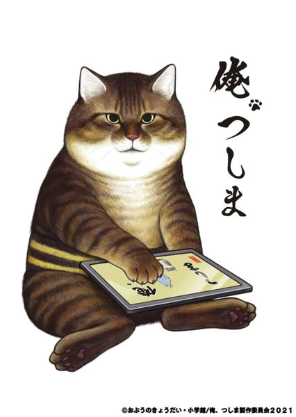 我,小怼
