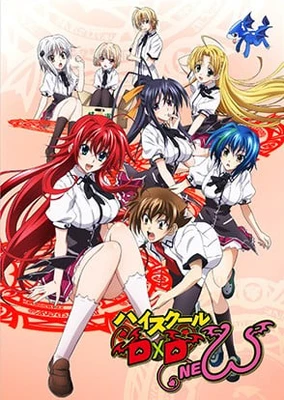 High School DxD NEW