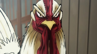 公鸡斗士 第1话