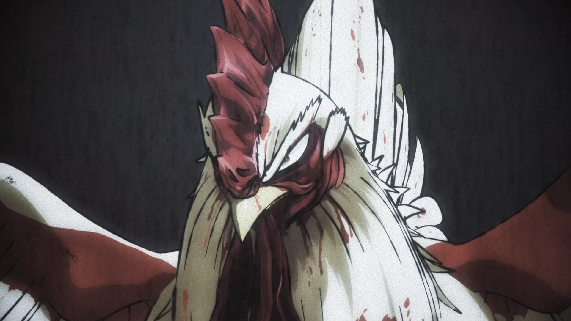 公鸡斗士 第1话