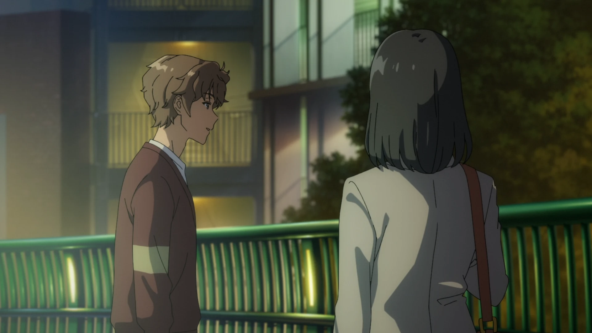 青春笨蛋少年不做圣诞服女郎的梦 第7话