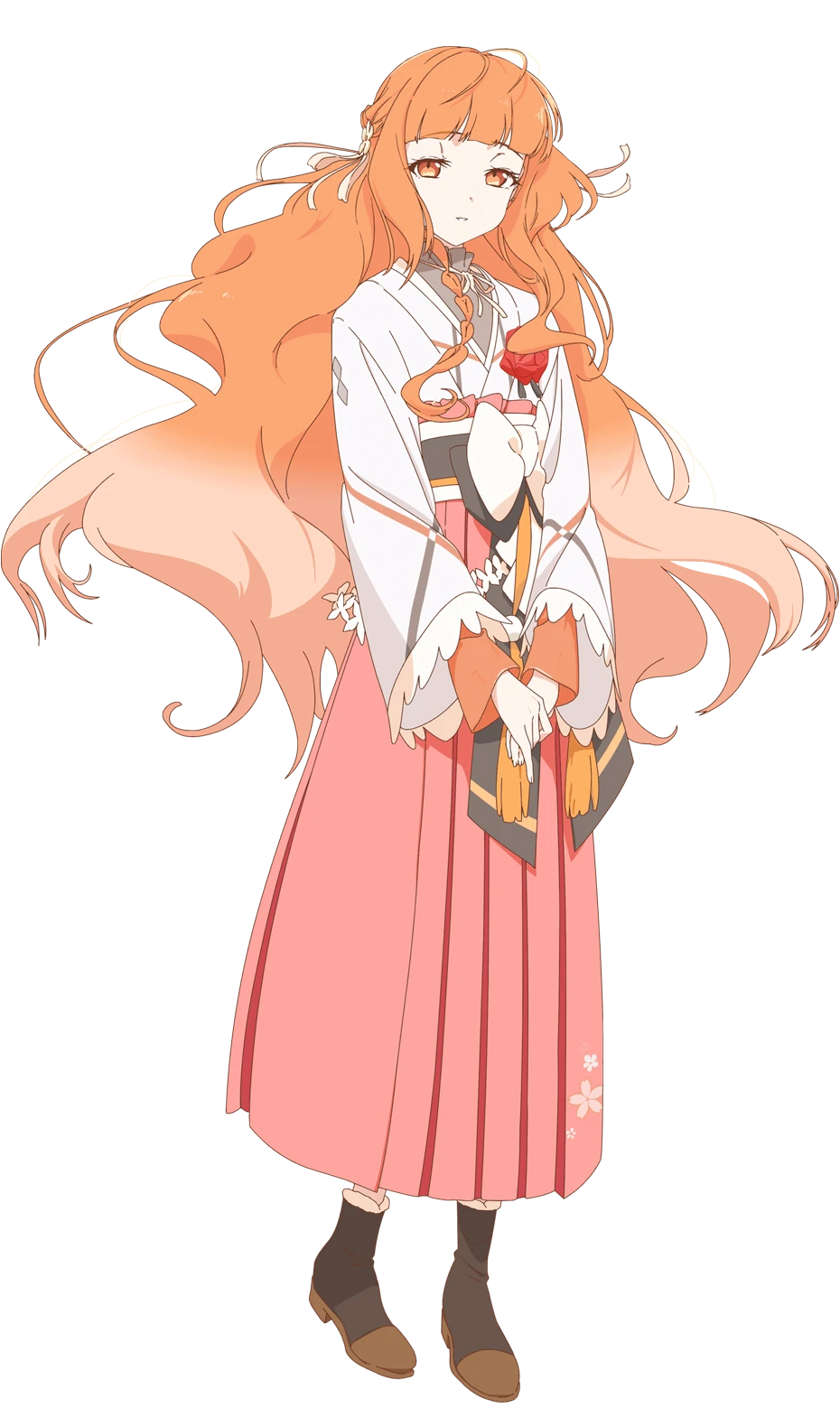 花叶雏菊